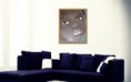 /album/fotogalerie/sofa3-jpg/